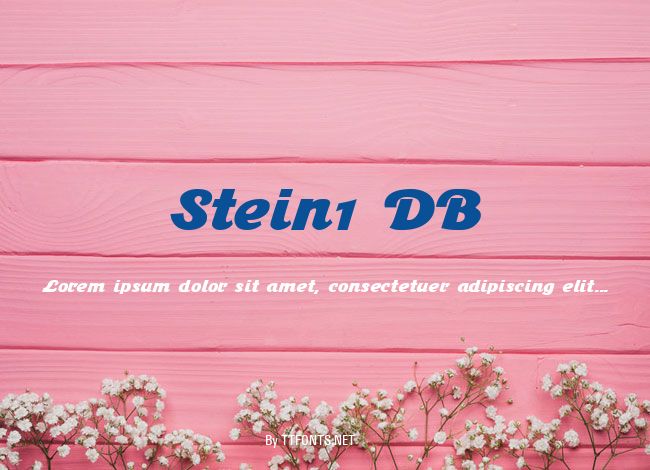 Stein1 DB example