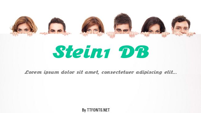Stein1 DB example