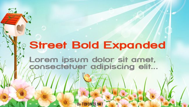 Street Bold Expanded example