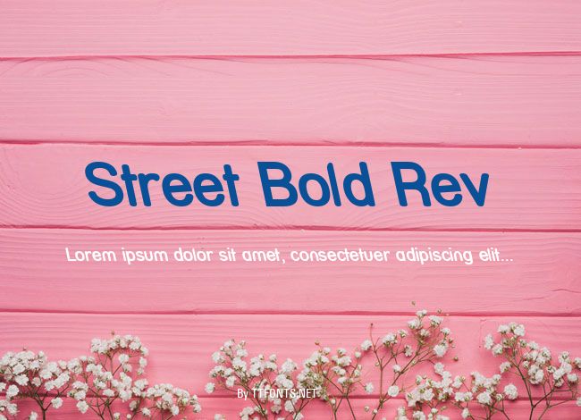 Street Bold Rev example