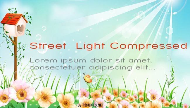 Street  Light Compressed example