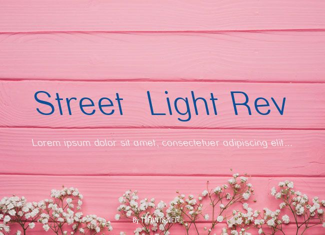 Street  Light Rev example