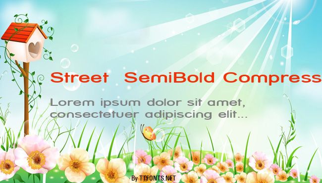 Street  SemiBold Compressed example