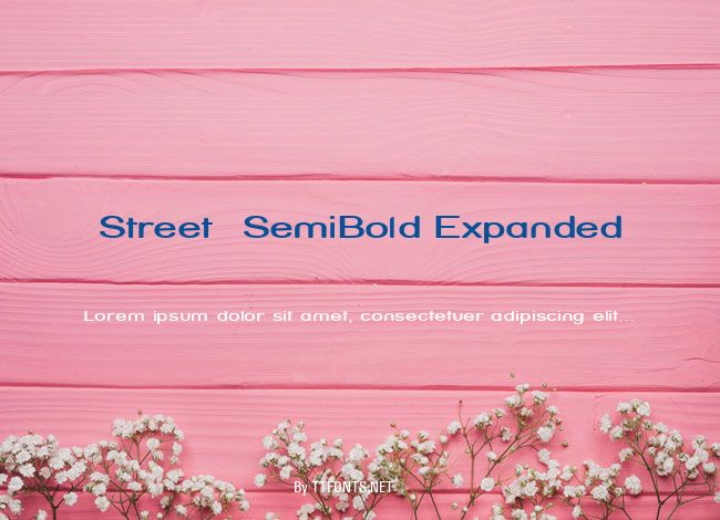 Street  SemiBold Expanded example