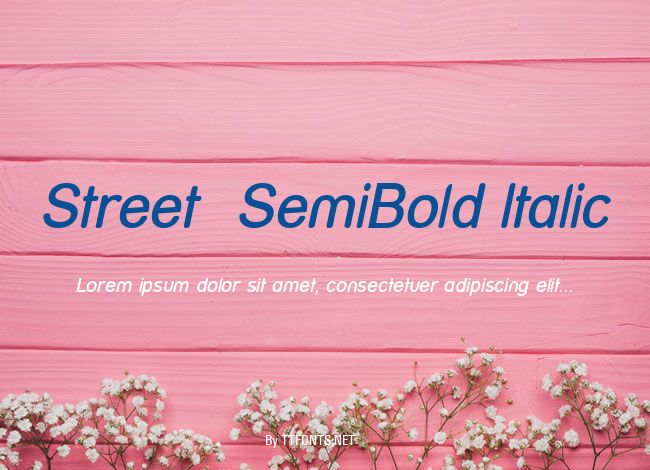 Street  SemiBold Italic example