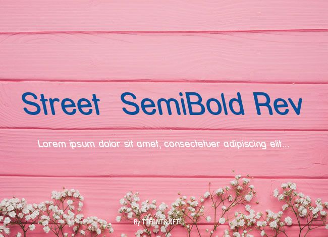 Street  SemiBold Rev example