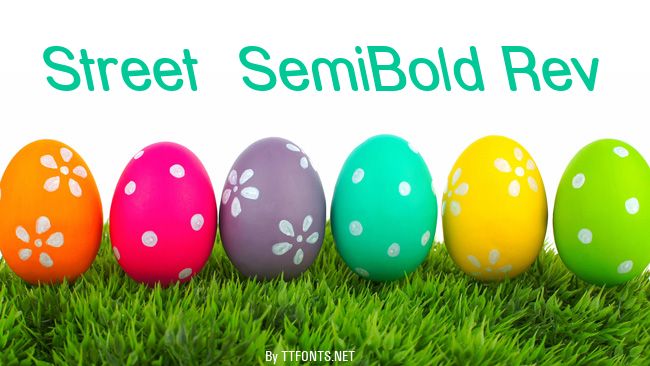 Street  SemiBold Rev example