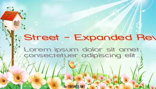 Street - Expanded Reverse example