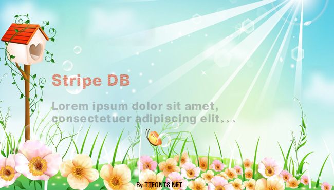 Stripe DB example