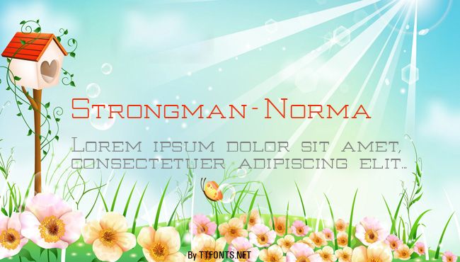 Strongman-Norma example