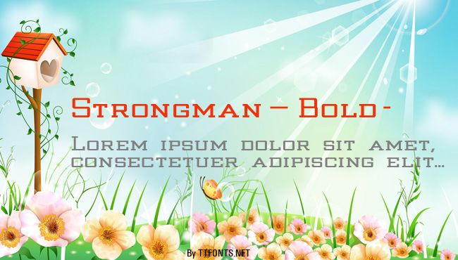 Strongman_Bold- example