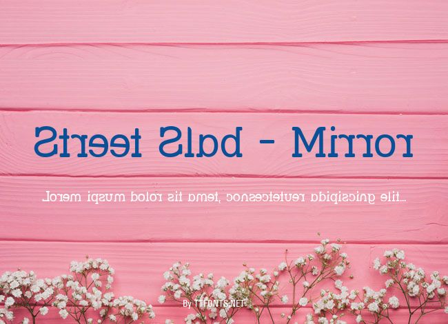 Street Slab - Mirror example
