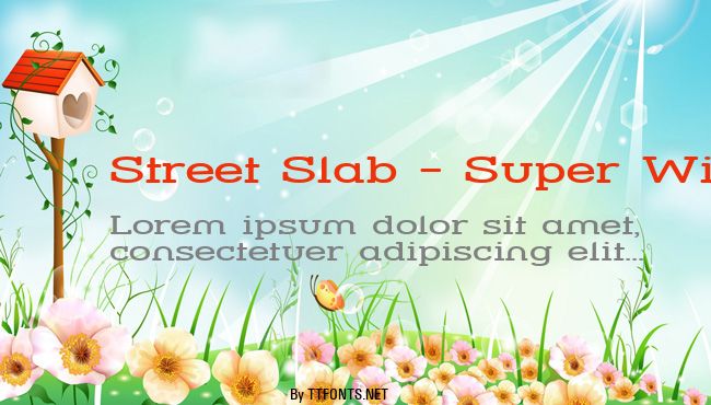 Street Slab - Super Wide example