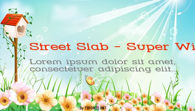 Street Slab - Super Wide Rev example