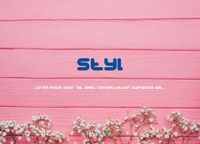 Styl example
