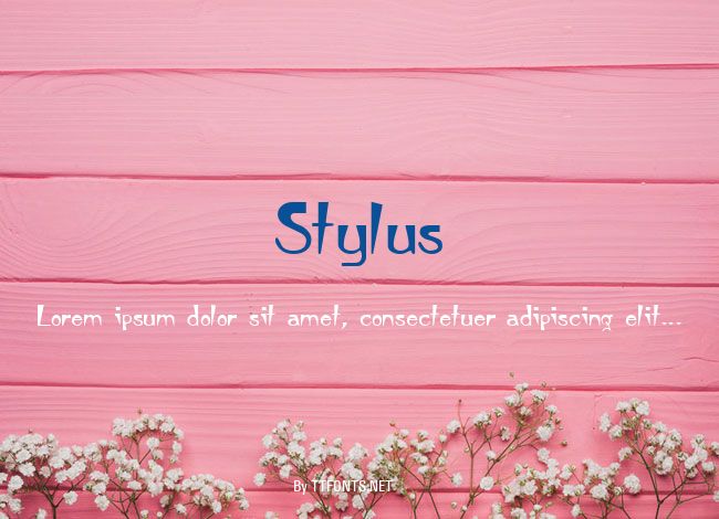 Stylus example