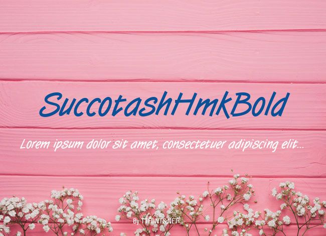 SuccotashHmkBold example