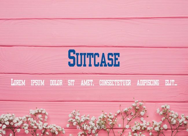 Suitcase example