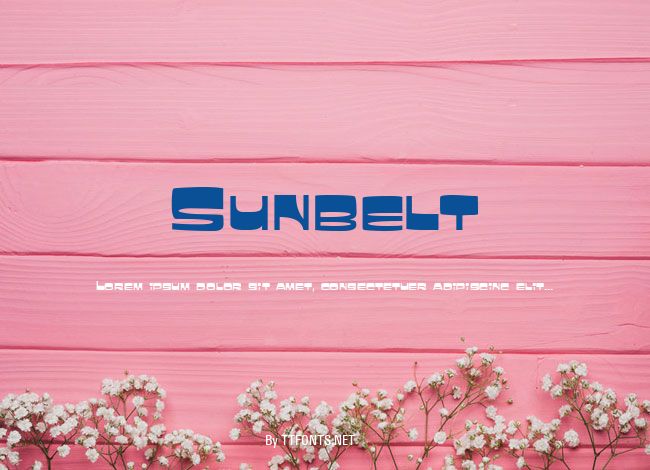 Sunbelt example