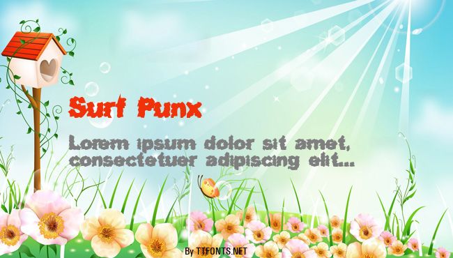 Surf Punx example