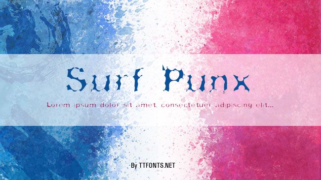 Surf Punx example