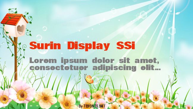 Surin Display SSi example