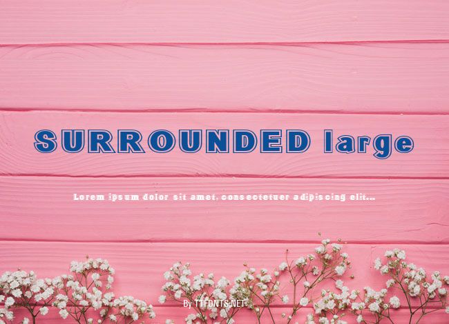 SURROUNDED large example