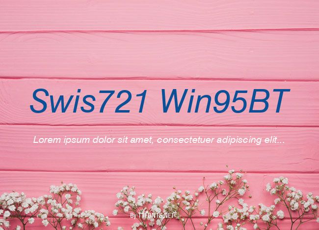 Swis721 Win95BT example
