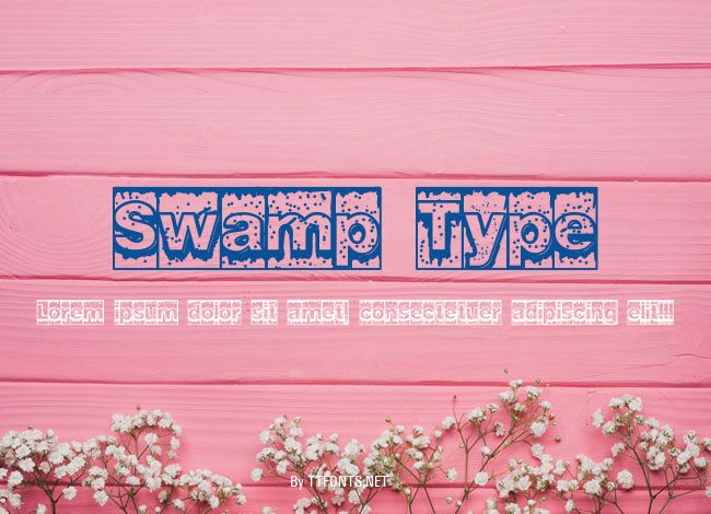 Swamp Type example