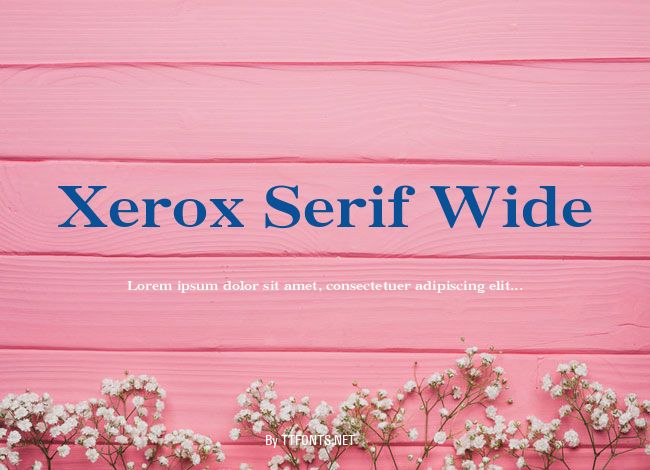 Xerox Serif Wide example