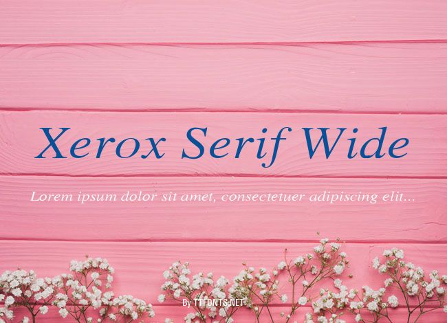 Xerox Serif Wide example