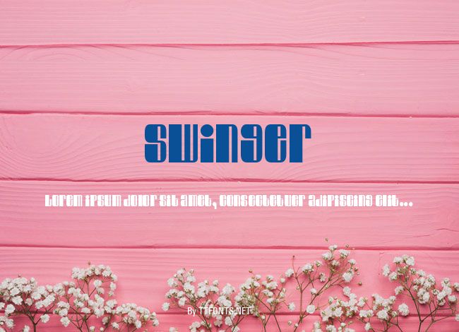 Swinger example