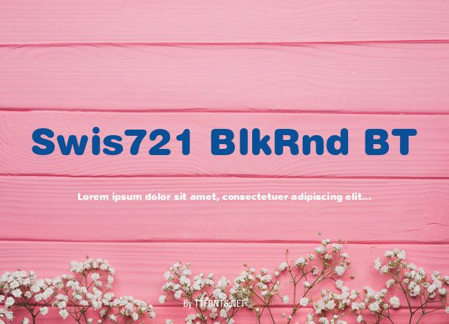 Swis721 BlkRnd BT example