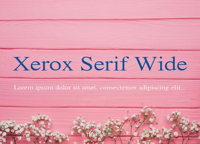 Xerox Serif Wide example