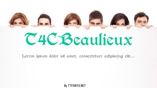 T4CBeaulieux example