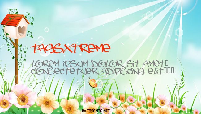 TagsXtreme example