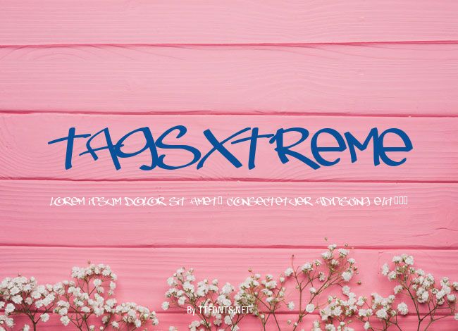 TagsXtreme example