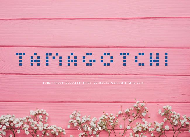 Tamagotchi example