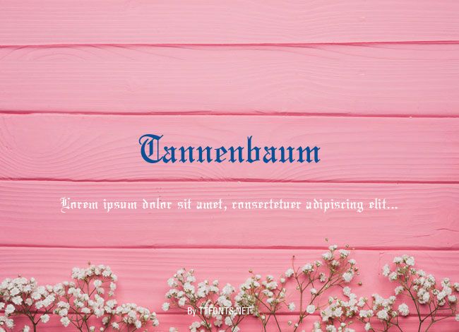 Tannenbaum example