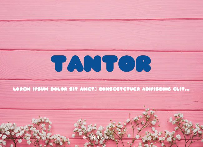 TANTOR example