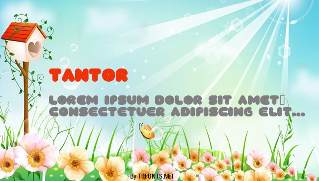 TANTOR example