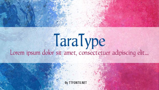 TaraType example