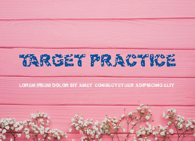 Target Practice example
