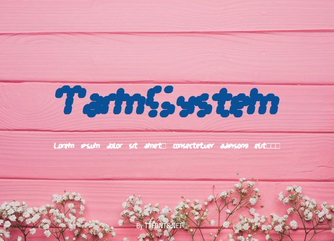 TarmSystem example