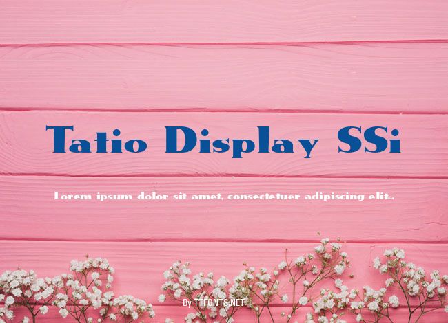 Tatio Display SSi example