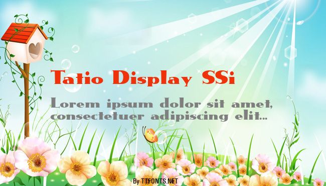 Tatio Display SSi example