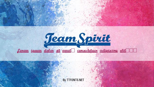 TeamSpirit example