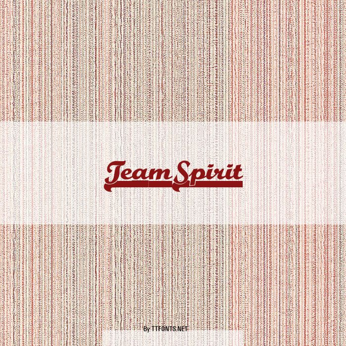 TeamSpirit example