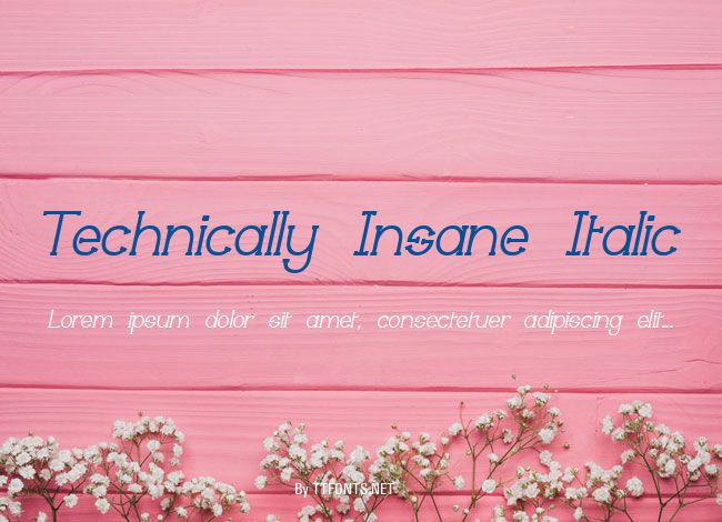 Technically Insane Italic example