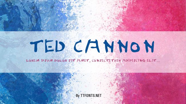 Ted Cannon example